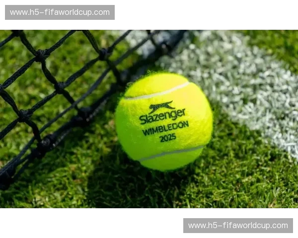 温网频道:把草地的热情带回家 温网频道:把草地的热情带回家